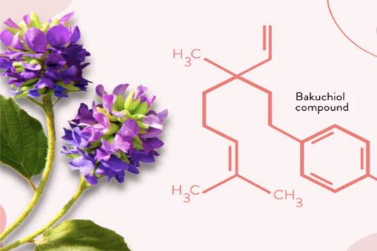 Sytenol ® A Bakuchiol and retinol